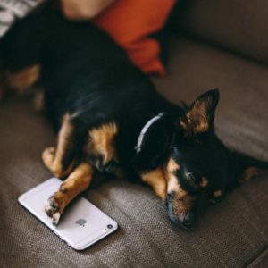 Image with title, description & Vimeo video