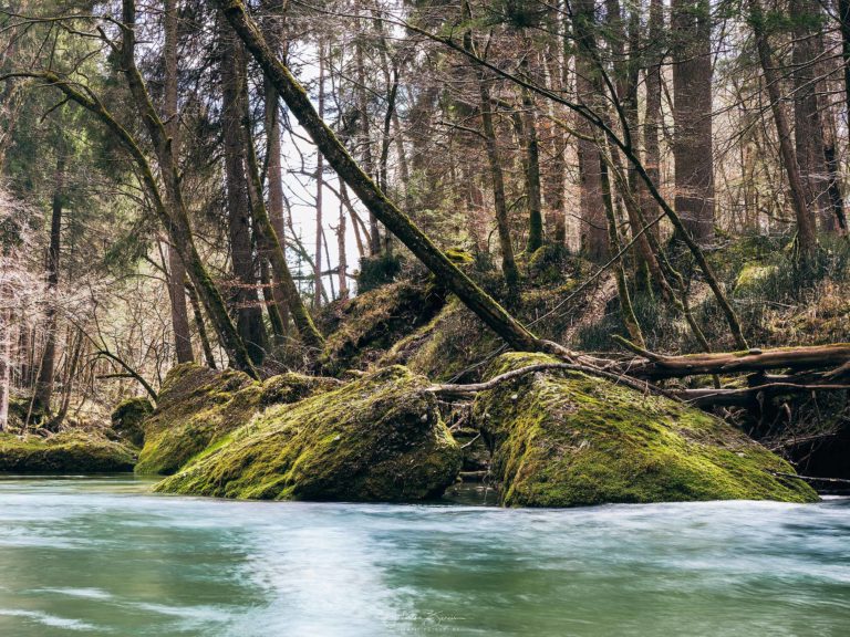 misty Mangfall misty Mangfall