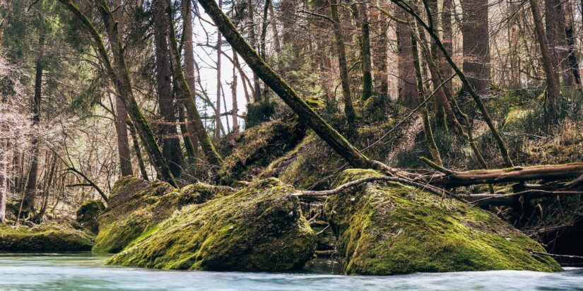 misty Mangfall misty Mangfall