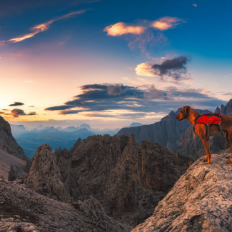 Sam überwacht den Sonnenaufgang ;)