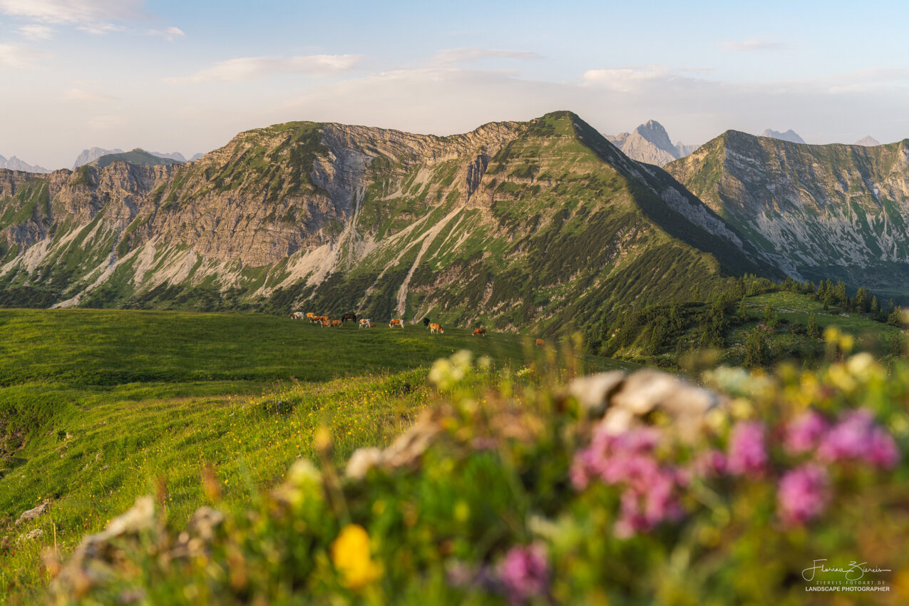 Alpenlandschaft im Vorwkarwendel