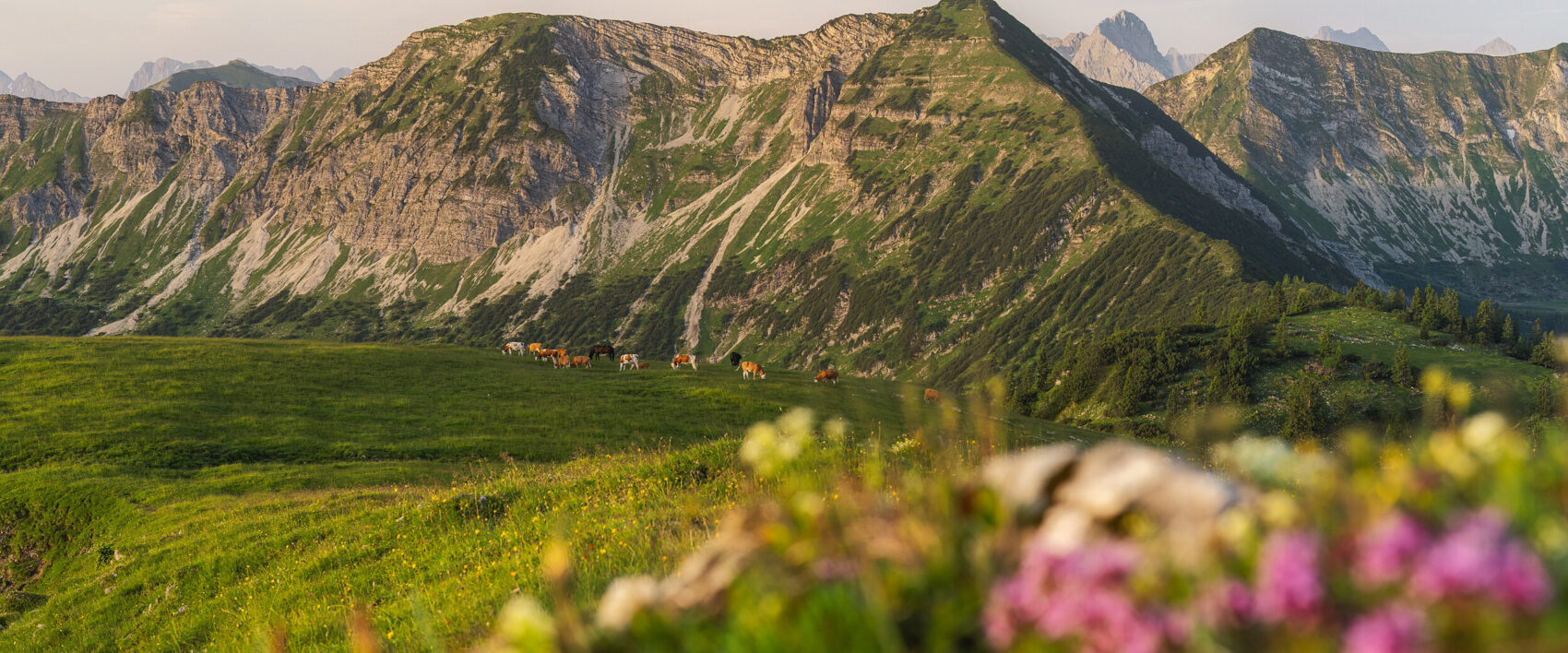 Alpenlandschaft im Vorwkarwendel
